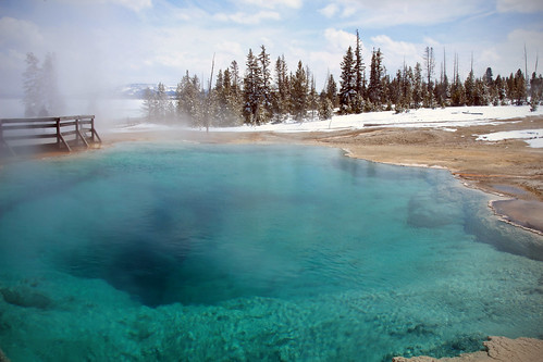 Hot Springs- Yellowstone National Park