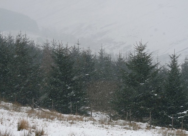 25520 - Brecon Beacons Snow