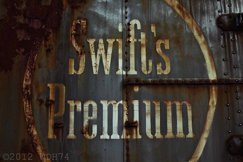 Swift's Premium by William 74