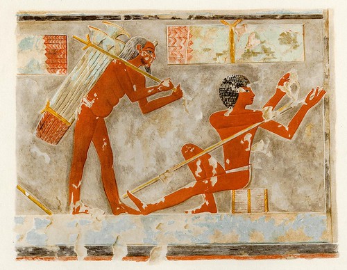013-Pelando los tallos de papiro-The tomb of Puyemrê at Thebes 1922-1923 - Norman de Garis Davies- © Universitätsbibliothek Heidelberg