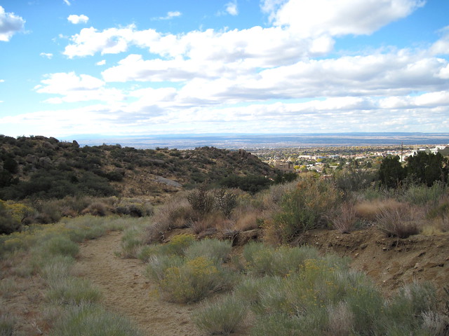 View of Albuquerque from Lomas Canyon 20111114
