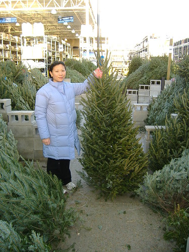 Danielle selects our tree