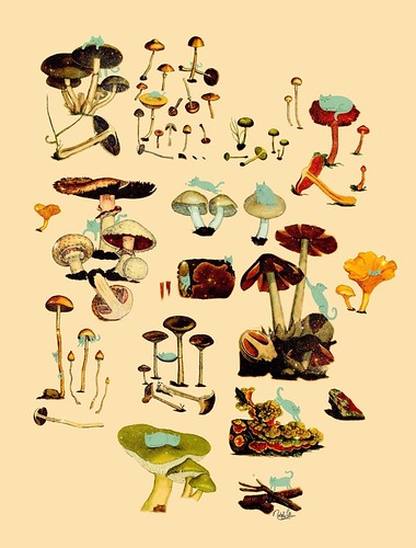 poster of cats climbing on mushrooms