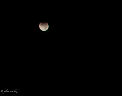 Lunar eclipse from Morro Bay 12-10-11
