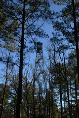 McCormick Fire Tower