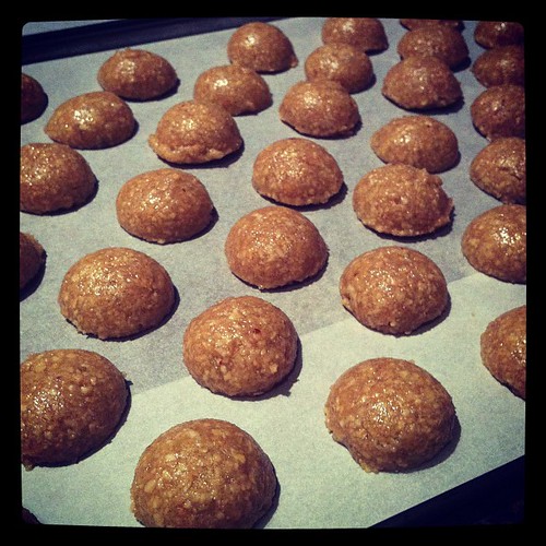Peanut cookies ready for tanning