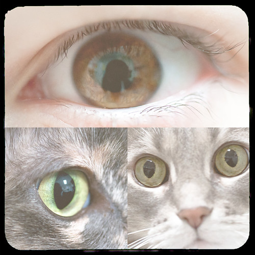 Through their eyes by The Shutterbug Eye™