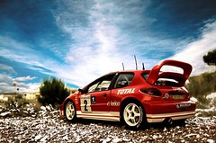 1/18- Peugeot 206 WRC 2003:Solido