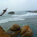 A Galle Fort cliff jumper!