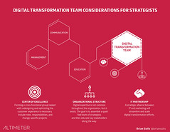 Digital Transformation - The Team