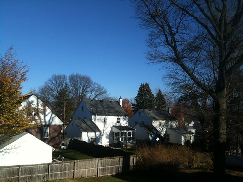 Cool, sunny suburban NJ Thanksgiving afternoon
