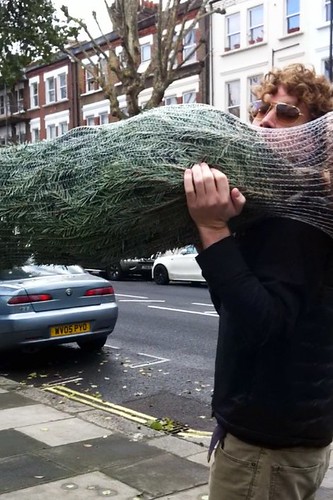 got our tree! now joe gets to carry it home