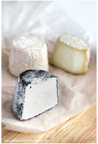 cheese_krotten