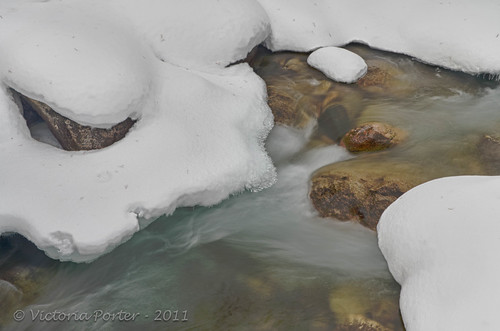Fast-flowing water on the West Fork of Rock Creek remains unfrozen... wintry delight!