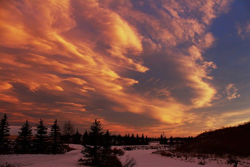 無料写真素材|自然風景|朝焼け・夕焼け|雲|空