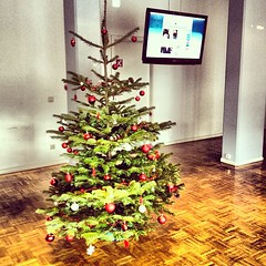 What a nice Christmas tree in our agency!