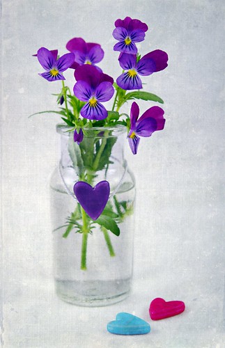  無料写真素材, 花・植物, パンジー, 花瓶, ハート  