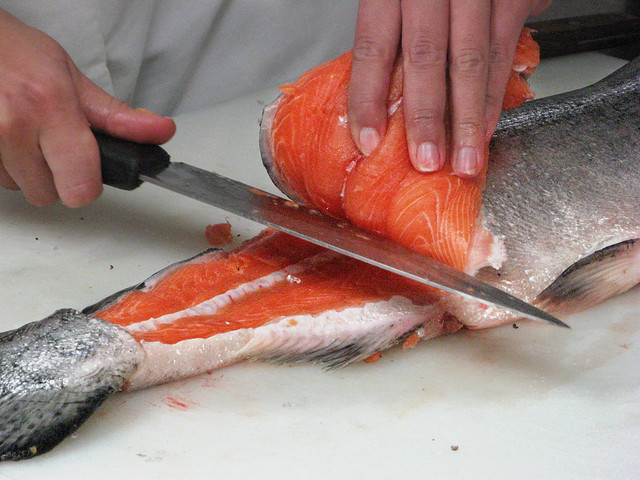 Filleting a Salmon