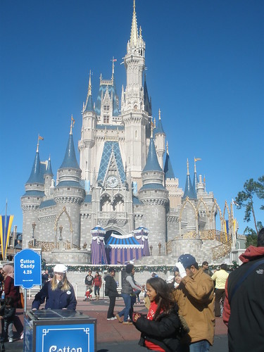 Disney Castle. 