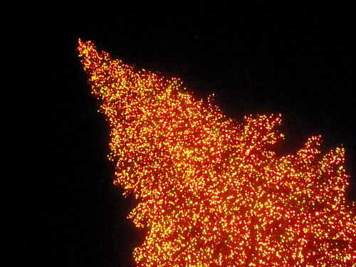 Red Christmas Tree Lights