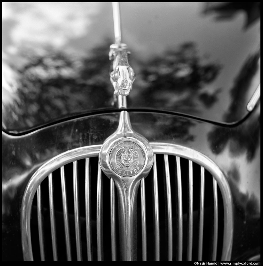 vintage jaguar car