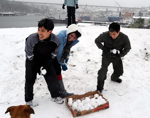 Eagerly preparing for the friendly fight - oh but they are ARMED with a box of snowballs, top of the hill, Rosie watches, view of Lake Union, Aurora bridge, Gas Works Park, Seattle, Washington, USA by Wonderlane