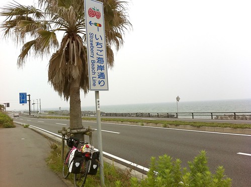 Strawberry Beach Line in Shizuoka いちご海岸通りin静岡