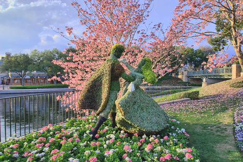 Dancing Through The Flowers - WDW 2011