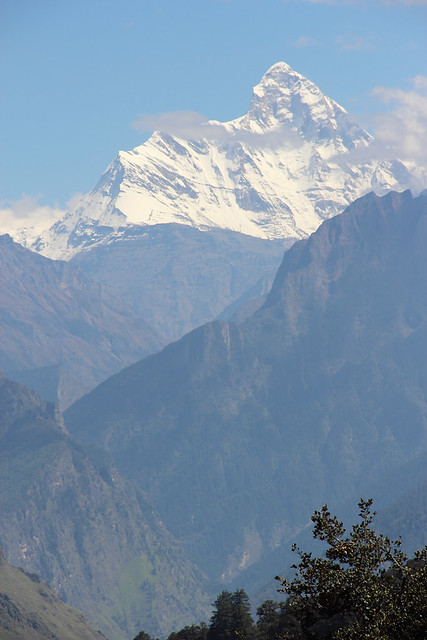 Trekking Himalaya a los 75 años - Blogs de India - De Rishikesh a Josimath y Badrinath (6)