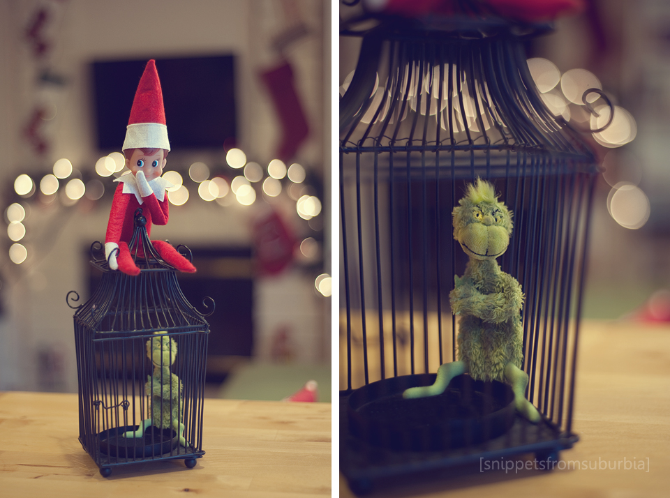Elf on the Shelf, Day 12 and {345/365}