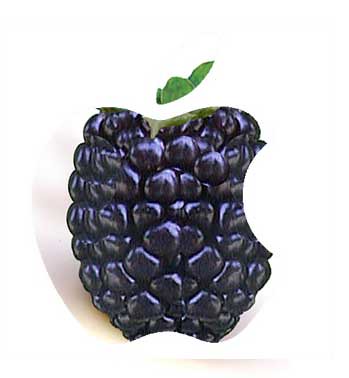 blacberry-apple