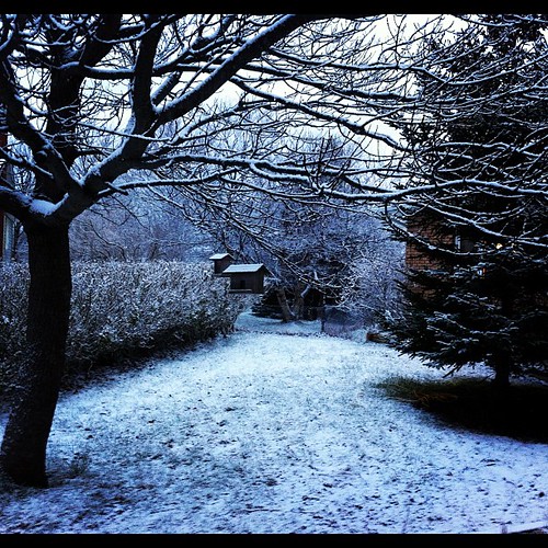 A little bit of a wintry wonderland feel this morning.