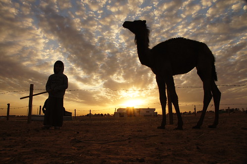 Welcome to 2012 - back in the Saudi desert by CharlesFred