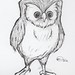 Owl 1.31.12