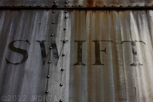Swift by William 74
