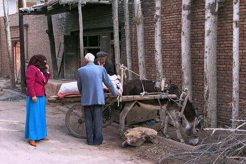 China – Kashgar – Streetlife With Donkey Cart
