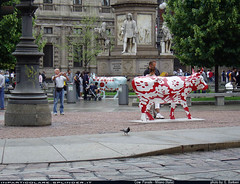 Cow Parade - Milano - Italia