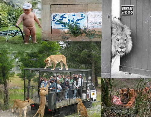 Zoos and Wildlife Breeding Centers of Pakistan