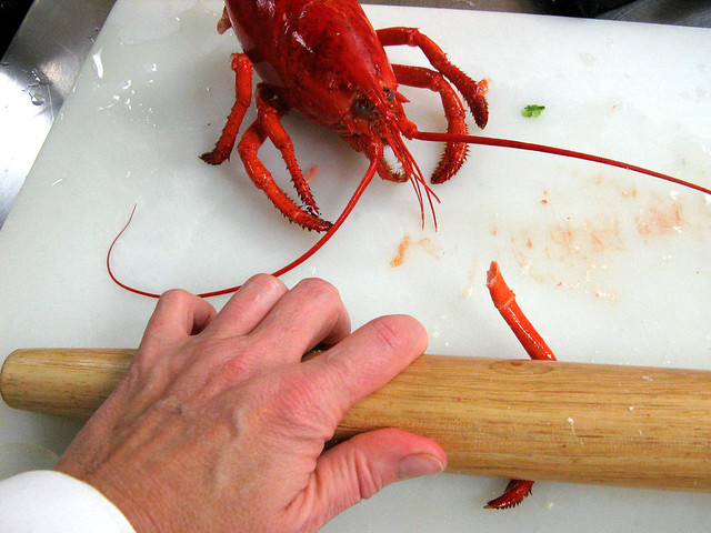 eating lobster legs