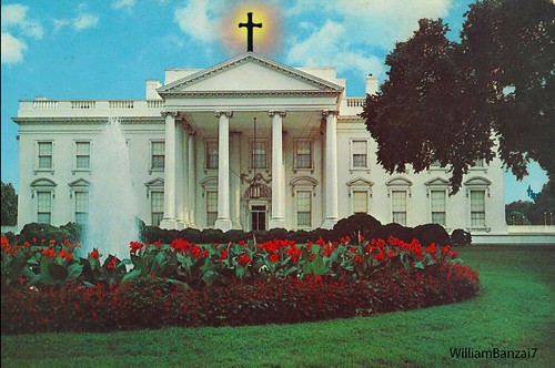 WHITEHOUSE by Colonel Flick