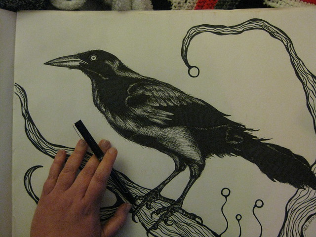Raven Study