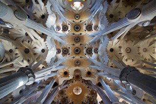 Ceiling of La Sagrada FamiÌlia