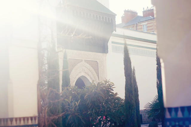 Great Mosque of Paris