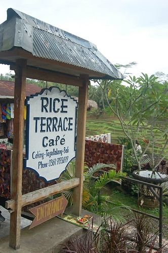 Tegallalang Rice Terraces, Ubud, Bali, Indonesia 印尼 峇里島 德哥拉朗梯田