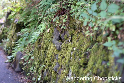 11 Chasing Waterfalls - Columbia River Gorge - Oregon 6