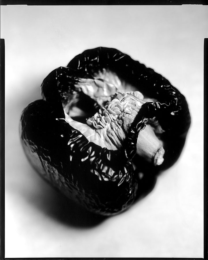 red pepper on paper negative