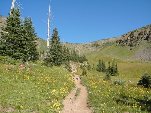Devil's Causeway Trail, Flat Tops Wilderness Area, Colorado