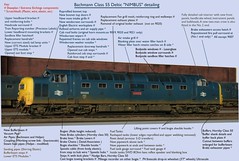 Detailing the Bachmann Deltic