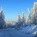 Yakutian winter wonderland