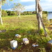 brasilia lago norte lixocultural 29dez11 051
